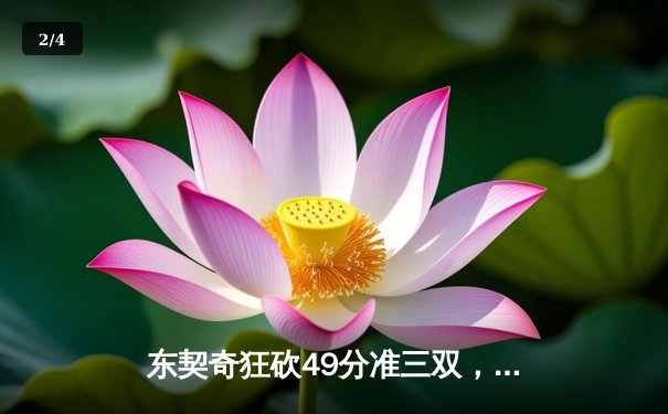 东契奇狂砍49分准三双，独行侠加时险胜篮网迎五连胜 - 2